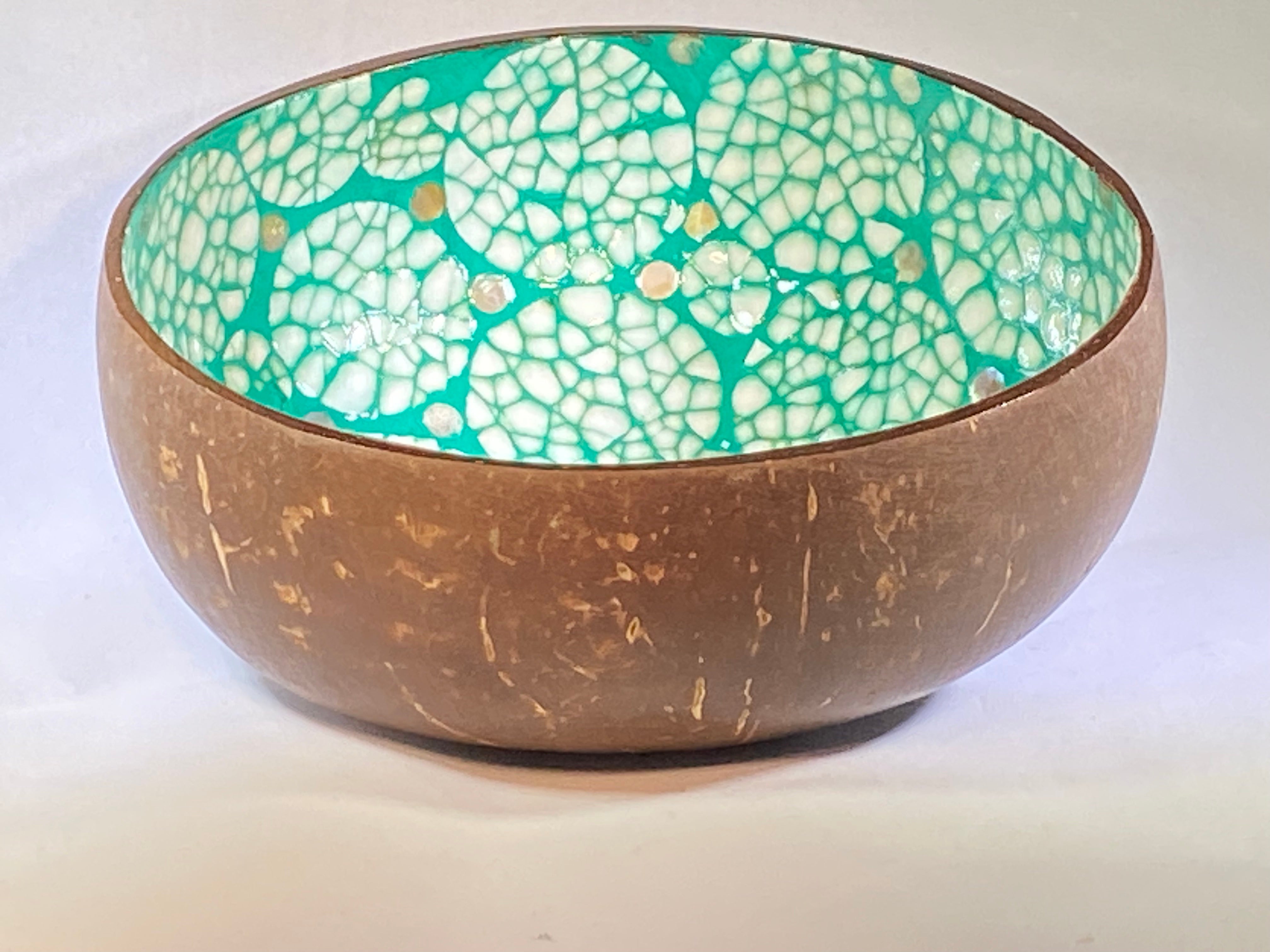 Coconut Shell Bowl - Teal